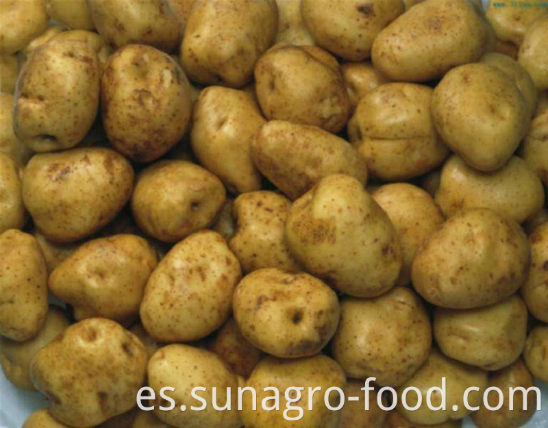 Quality Large Fresh Potatoes